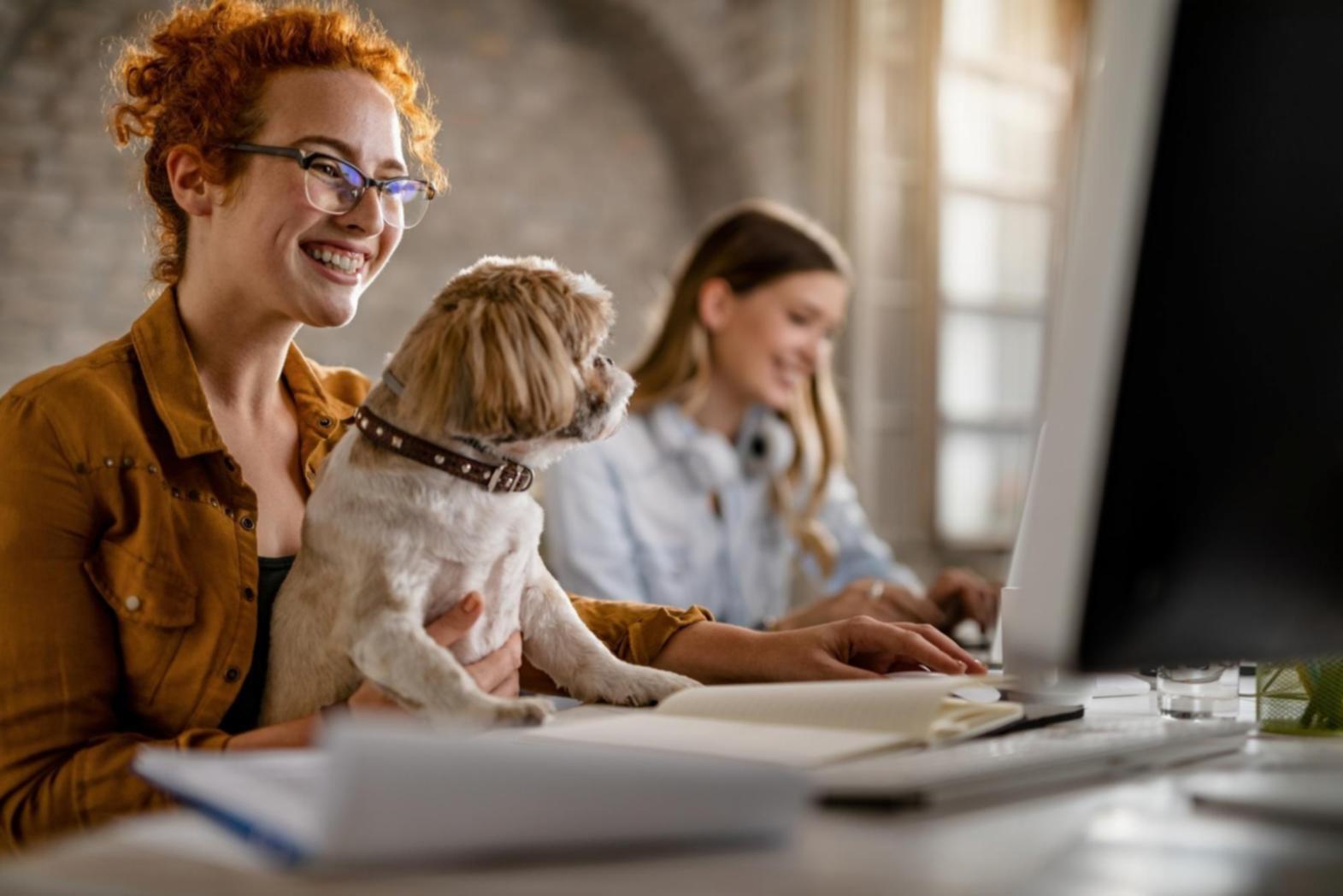 Účastníci webináře sledující prezentaci o testování mobilních her
